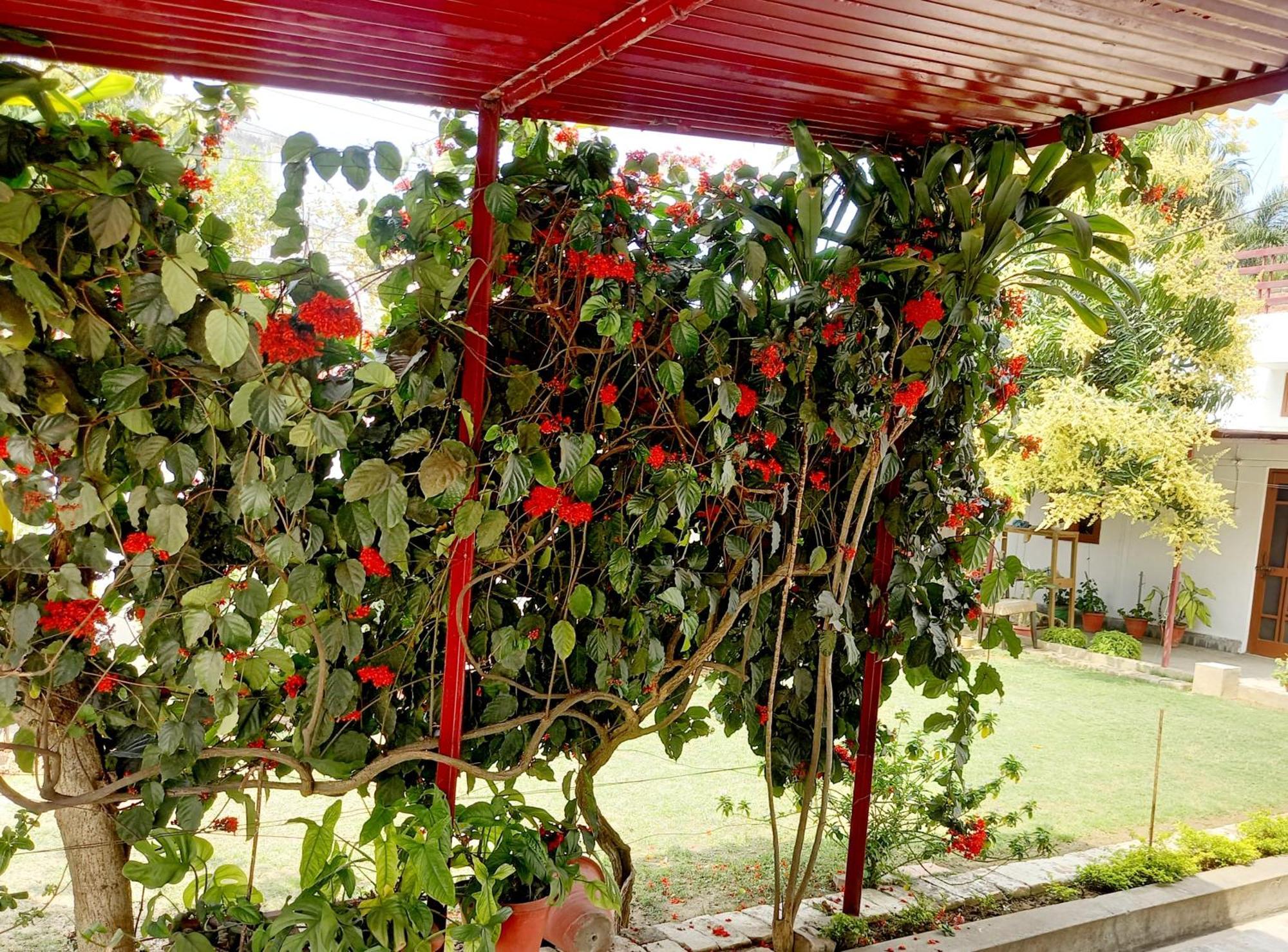 Garden View Residency Bed and Breakfast Lucknow Buitenkant foto